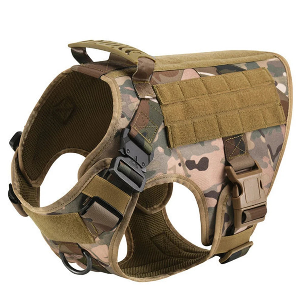 Petavel Padded Nylon Dog Harness And Leash Set For Training