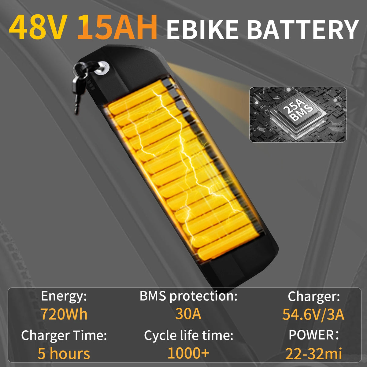 48V Electric Bike Battery With 30A BMS Power Indicator