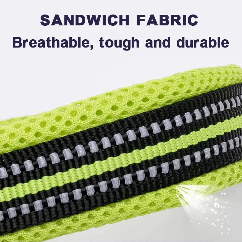 Winhyepet Padded Nylon Dog Walking Collar With Secure Buckle