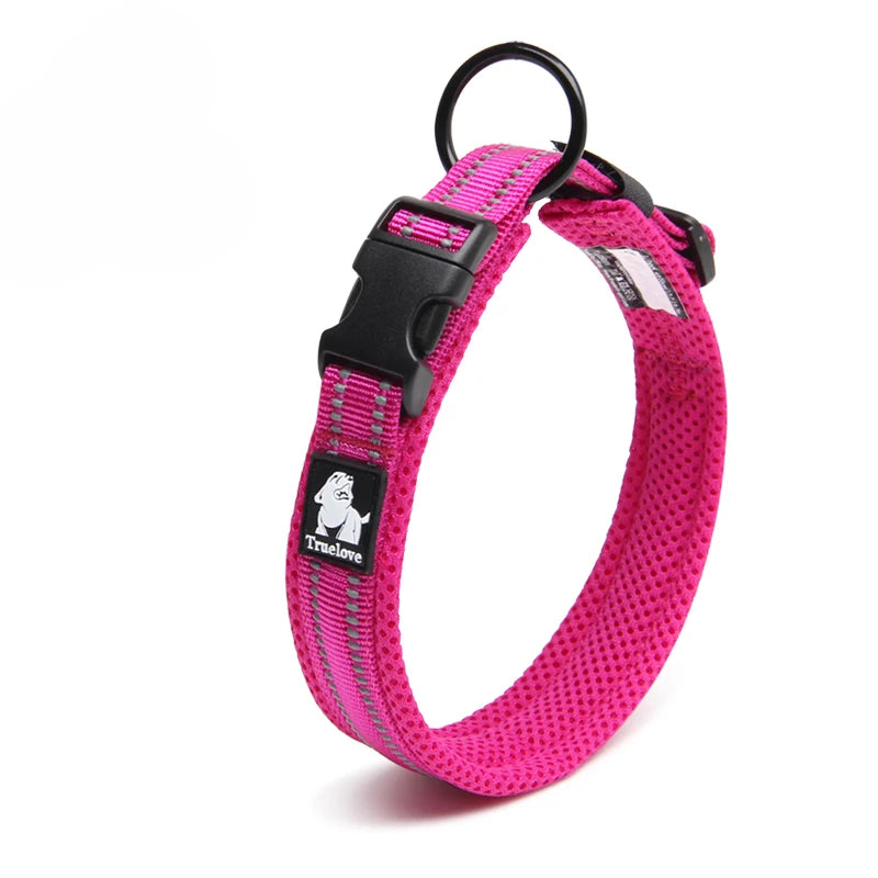 Winhyepet Padded Nylon Dog Walking Collar With Secure Buckle