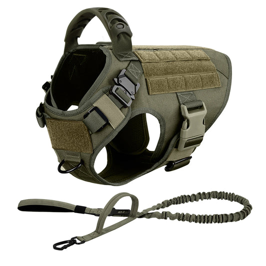 ApexGear Tactical Harness Leash Set - Padded No Pull Design