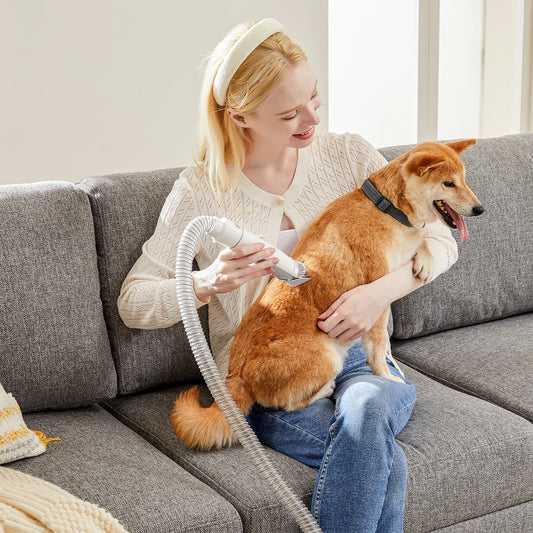 Professional Pet Grooming Vacuum Kit With Silent Clippers And Tools