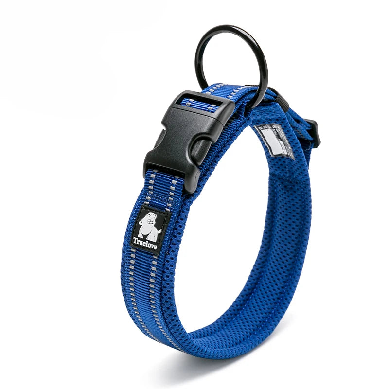 Winhyepet Padded Nylon Dog Walking Collar With Secure Buckle