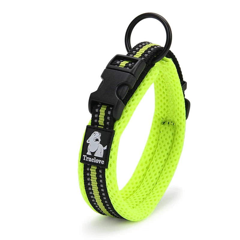 Winhyepet Padded Nylon Dog Walking Collar With Secure Buckle