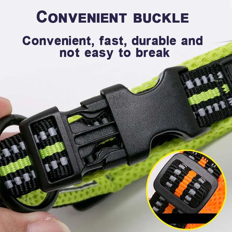 Winhyepet Padded Nylon Dog Walking Collar With Secure Buckle
