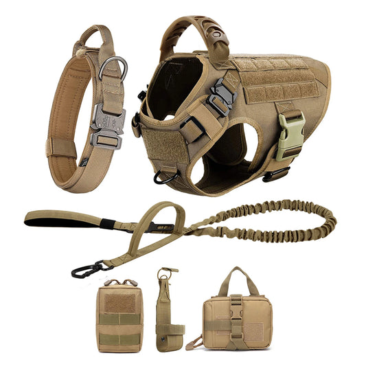 Petavel Padded Nylon Dog Harness And Leash Set For Training