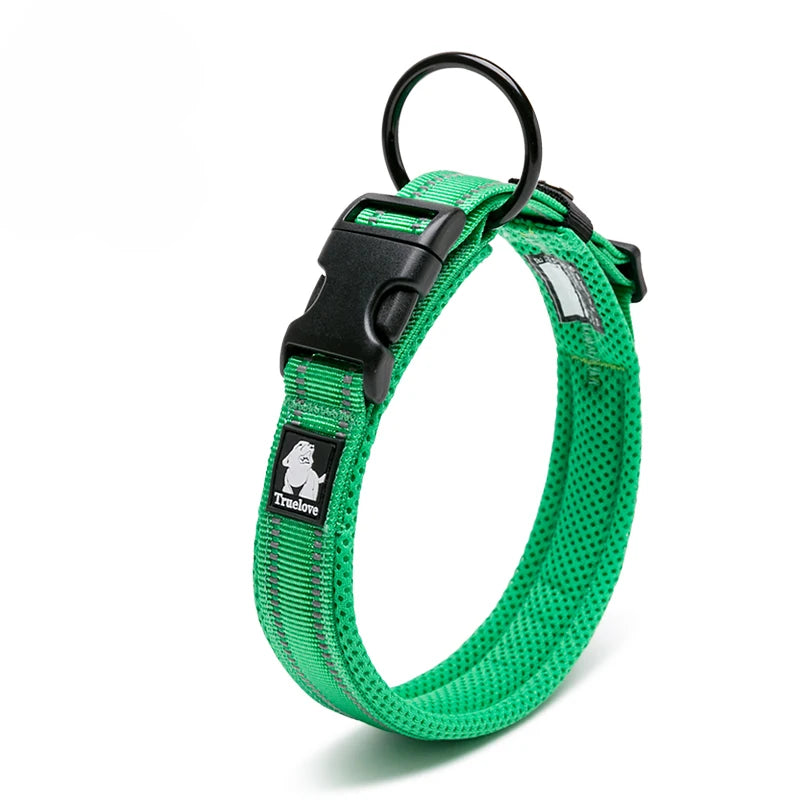 Winhyepet Padded Nylon Dog Walking Collar With Secure Buckle