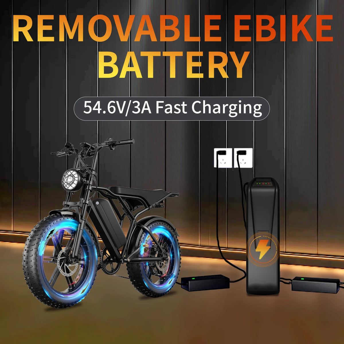 48V Electric Bike Battery With 30A BMS Power Indicator