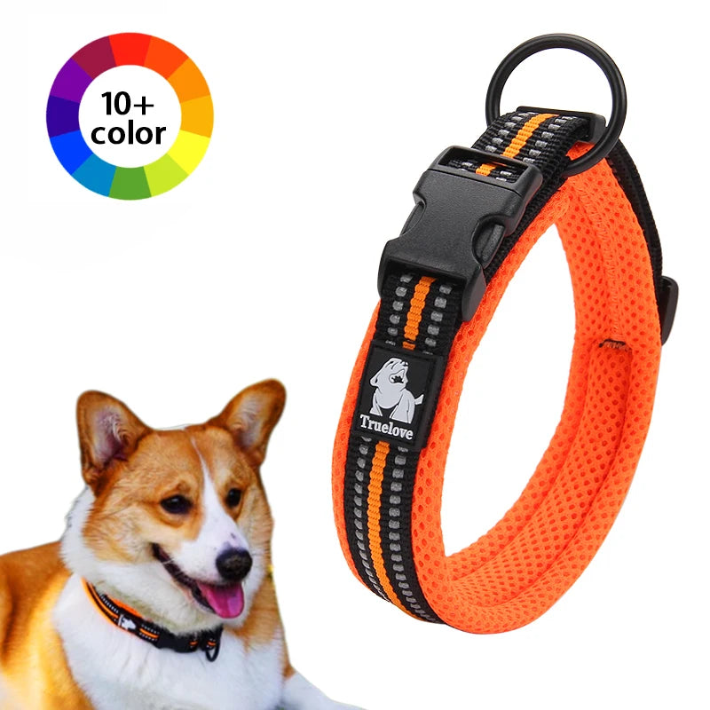 Winhyepet Padded Nylon Dog Walking Collar With Secure Buckle