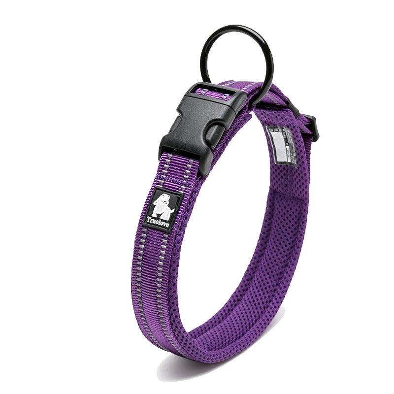 Winhyepet Padded Nylon Dog Walking Collar With Secure Buckle