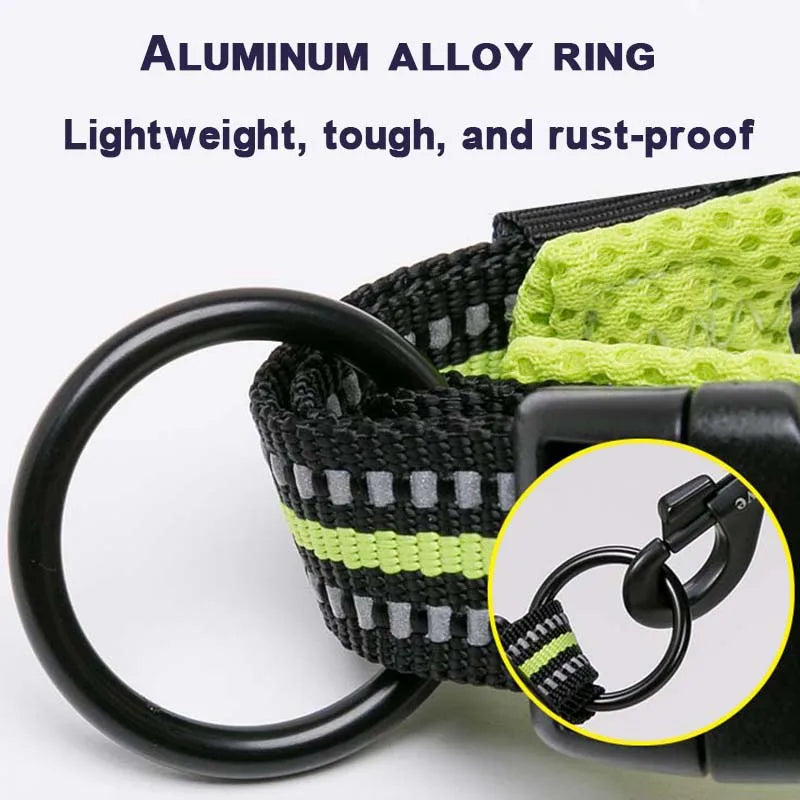 Winhyepet Padded Nylon Dog Walking Collar With Secure Buckle
