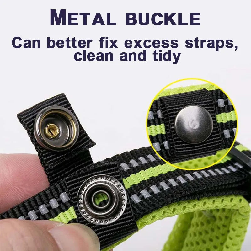 Winhyepet Padded Nylon Dog Walking Collar With Secure Buckle