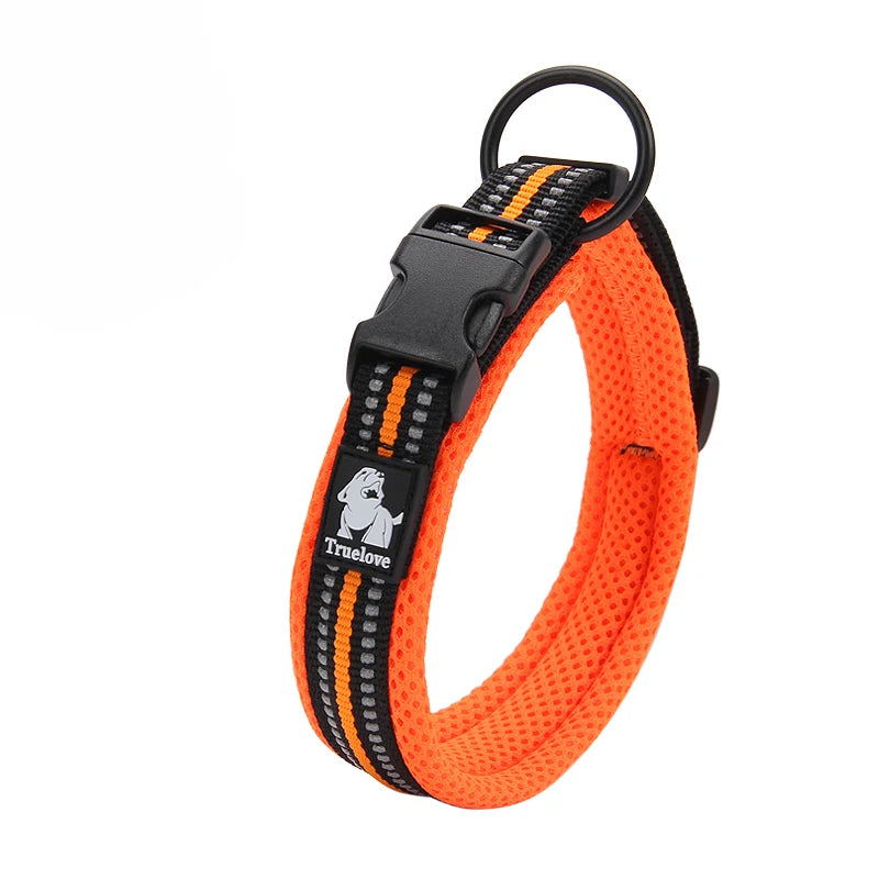 Winhyepet Padded Nylon Dog Walking Collar With Secure Buckle