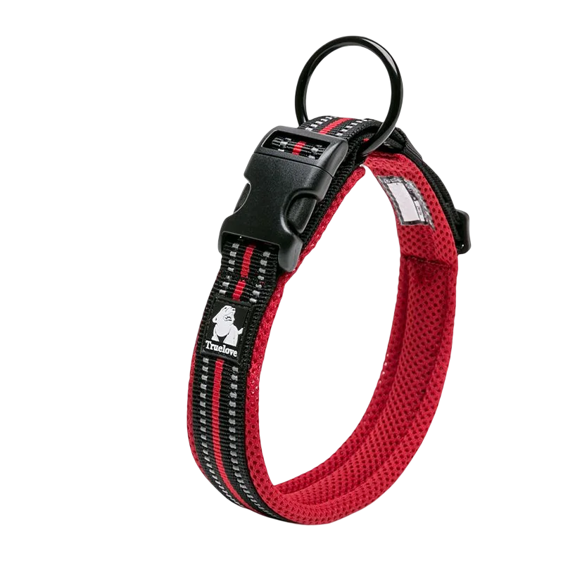 Winhyepet Padded Nylon Dog Walking Collar With Secure Buckle