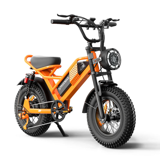 Eilleo Spacewalk 1500W Fat Tire Electric Bike For Adults