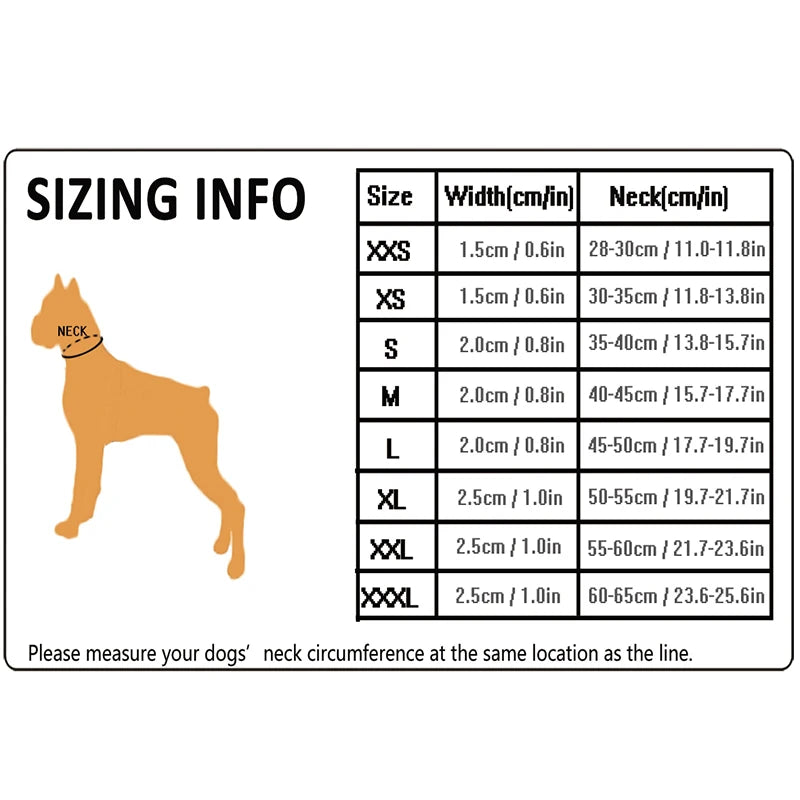 Winhyepet Padded Nylon Dog Walking Collar With Secure Buckle